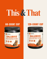 ROUTINE STARTER BUNDLE