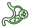 Digestive Health